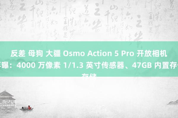 反差 母狗 大疆 Osmo Action 5 Pro 开放相机再曝：4000 万像素 1/1.3 英寸传感器、47GB 内置存储