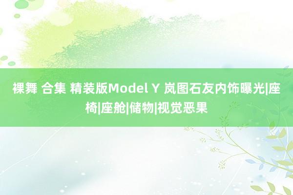 裸舞 合集 精装版Model Y 岚图石友内饰曝光|座椅|座舱|储物|视觉恶果