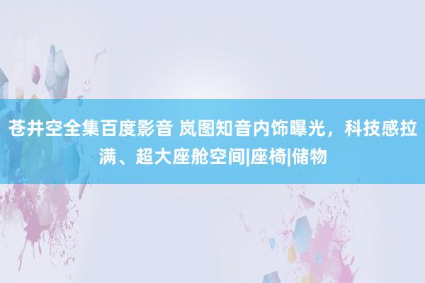 苍井空全集百度影音 岚图知音内饰曝光，科技感拉满、超大座舱空间|座椅|储物