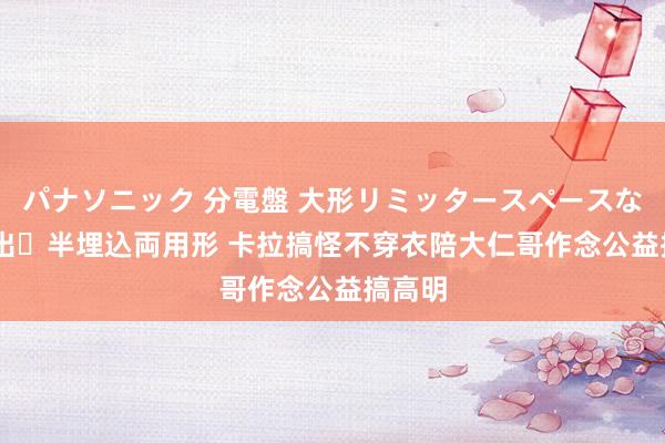 パナソニック 分電盤 大形リミッタースペースなし 露出・半埋込両用形 卡拉搞怪不穿衣　陪大仁哥作念公益搞高明