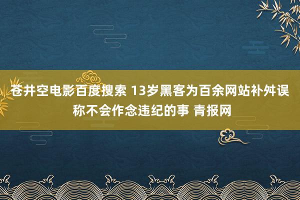 苍井空电影百度搜索 13岁黑客为百余网站补舛误 称不会作念违纪的事 青报网