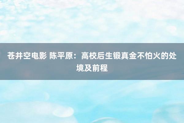 苍井空电影 陈平原：高校后生锻真金不怕火的处境及前程