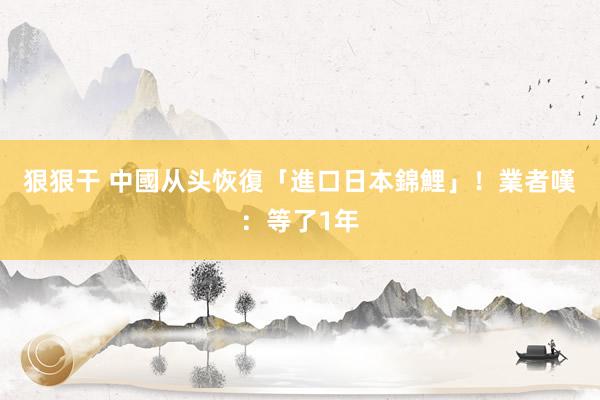 狠狠干 中國从头恢復「進口日本錦鯉」！　業者嘆：等了1年