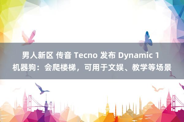 男人新区 传音 Tecno 发布 Dynamic 1 机器狗：会爬楼梯，可用于文娱、教学等场景