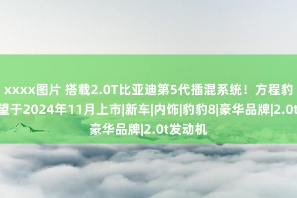 xxxx图片 搭载2.0T比亚迪第5代插混系统！方程豹 豹8有望于2024年11月上市|新车|内饰|豹豹8|豪华品牌|2.0t发动机