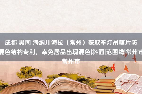 成都 男同 海纳川海拉（常州）获取车灯吊唁片防混色结构专利，幸免居品出现混色|斜面|范围线|常州市