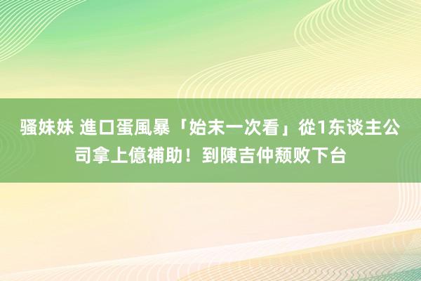 骚妹妹 進口蛋風暴「始末一次看」　從1东谈主公司拿上億補助！到陳吉仲颓败下台