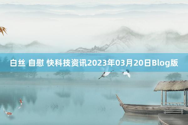 白丝 自慰 快科技资讯2023年03月20日Blog版