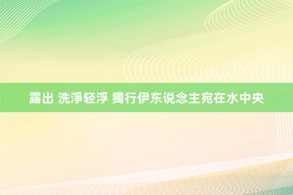 露出 洗淨轻浮 獨行伊东说念主宛在水中央