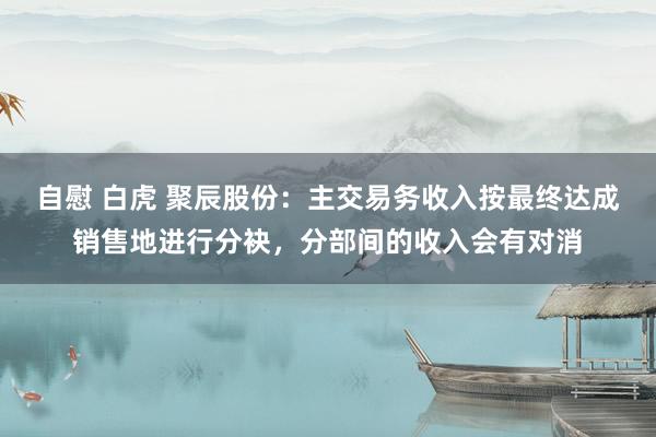 自慰 白虎 聚辰股份：主交易务收入按最终达成销售地进行分袂，分部间的收入会有对消